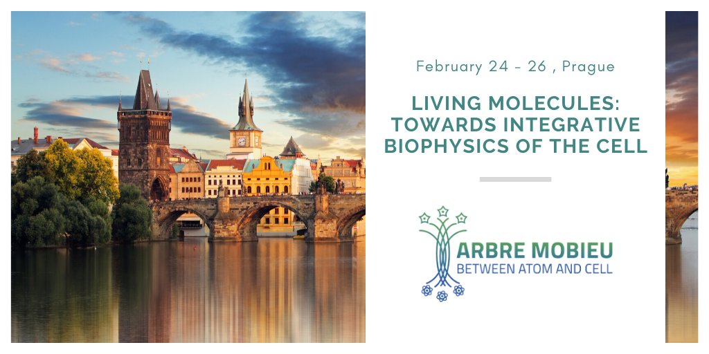 BiomembranesLSC's tweet photo. Tea, wine and some Biophysics. @BudvytyteRima, Indre and @PenkauskasTadas presenting their works and representing our lab at @AMobieu and @COSTprogramme Planary Meeting! Having a great time! https://t.co/NWF7oBVuqv