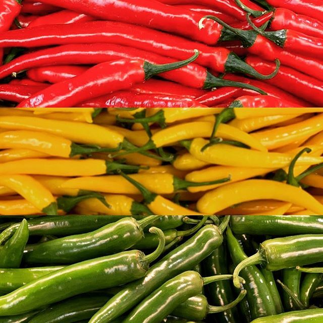 NFBdirect's tweet photo. ‘Hot’ off the press - we’ve now got some yellow chillis in stock to go with the green & red 🌶
#chilli #hotchilli #redchilli #greenchilli #yellowchilli #chillipepper #peppers https://t.co/7T6DFq6fFQ https://t.co/7IzkHZlhmW