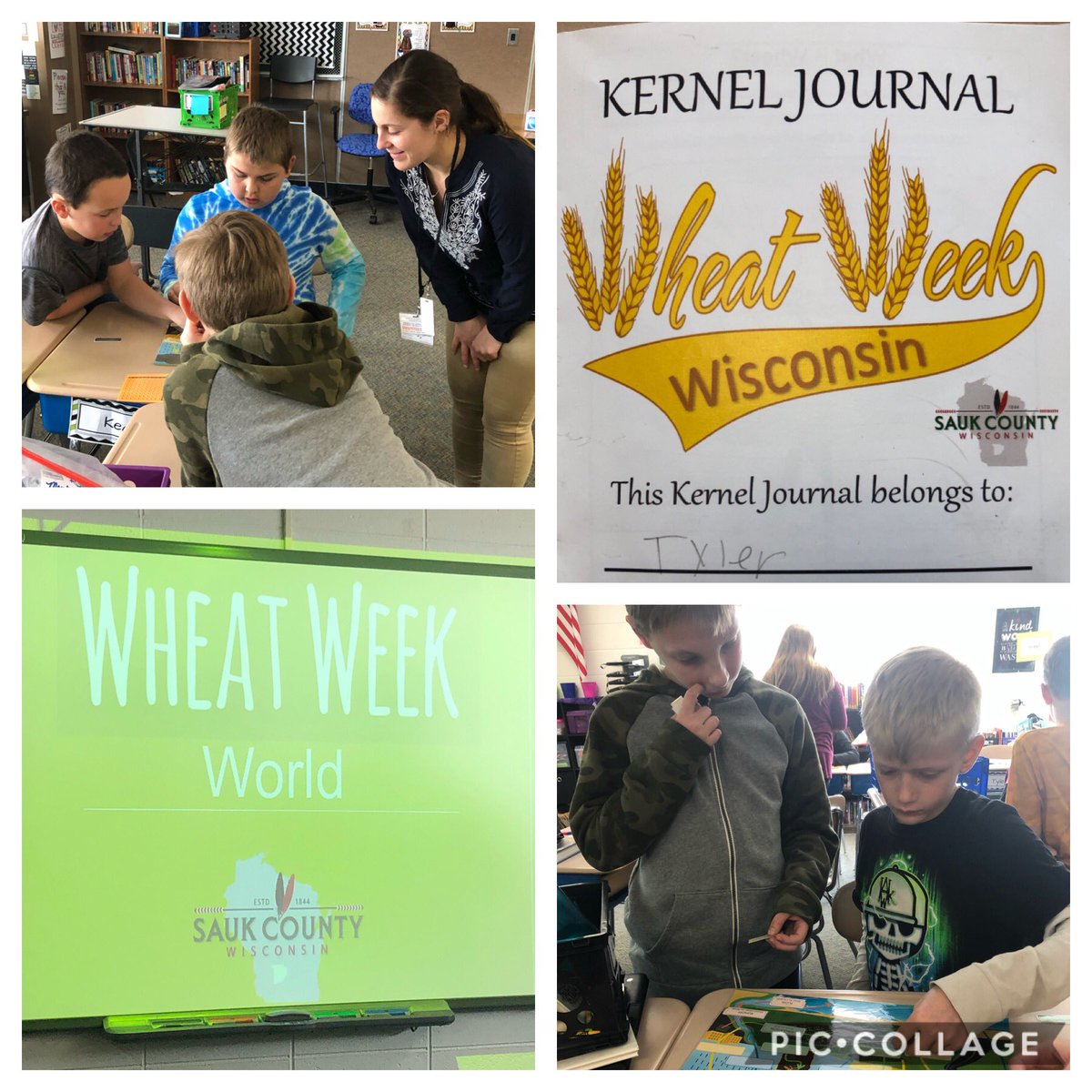 MrsShafer5's tweet photo. My Ss are currently participating in Wheat Week Wisconsin. Yesterday they created wheat terrariums and learned parts of a plant. Today they learned about water conservation and the water cycle. Relevant, hands-on science? Yes, please! #USDA #science #wheatweek #teach https://t.co/hiBJt7U8uY