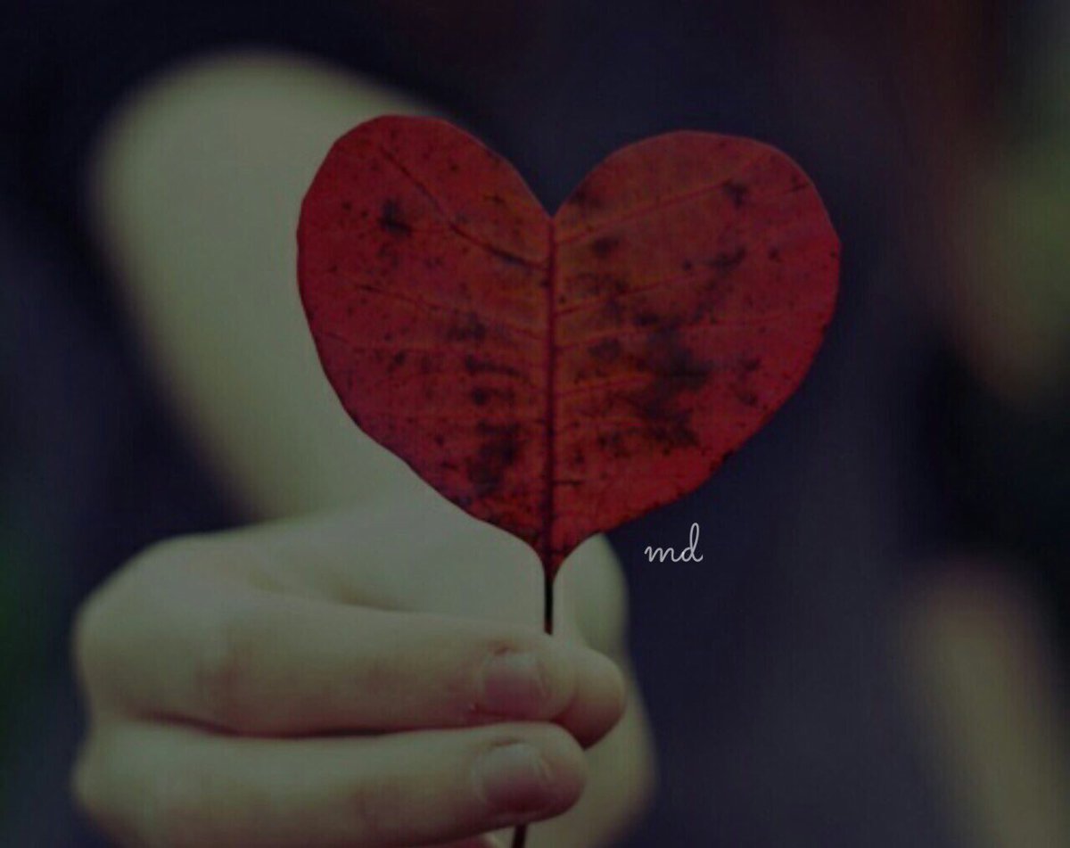 AM__1F's tweet photo. من قال أحبـك لا تصــدق كلامه
حتى تشوف من المواقف براهين

جــرب تشــوفه فـ الزعل والملامه
يشري وجودك أو يبيعك على مين⁧ https://t.co/Yaxypgpdpb