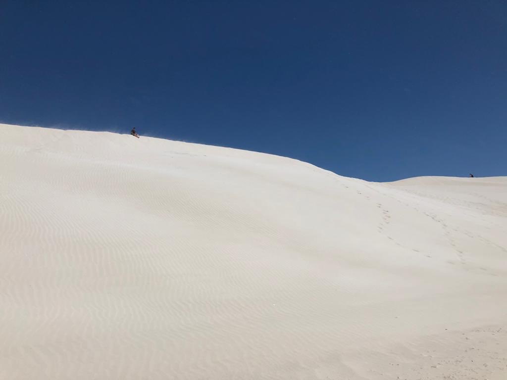 onetripbeyond's tweet photo. These huge sand dunes in Lancelin, Western Australia are a must visit as you drive up the coast. 

Hike up and then sandboard back down these stunning white dunes 🏂 ☀️ 

#lancelin #sanddunes #WA #sandboard #purewhite https://t.co/HJT3XvREkp