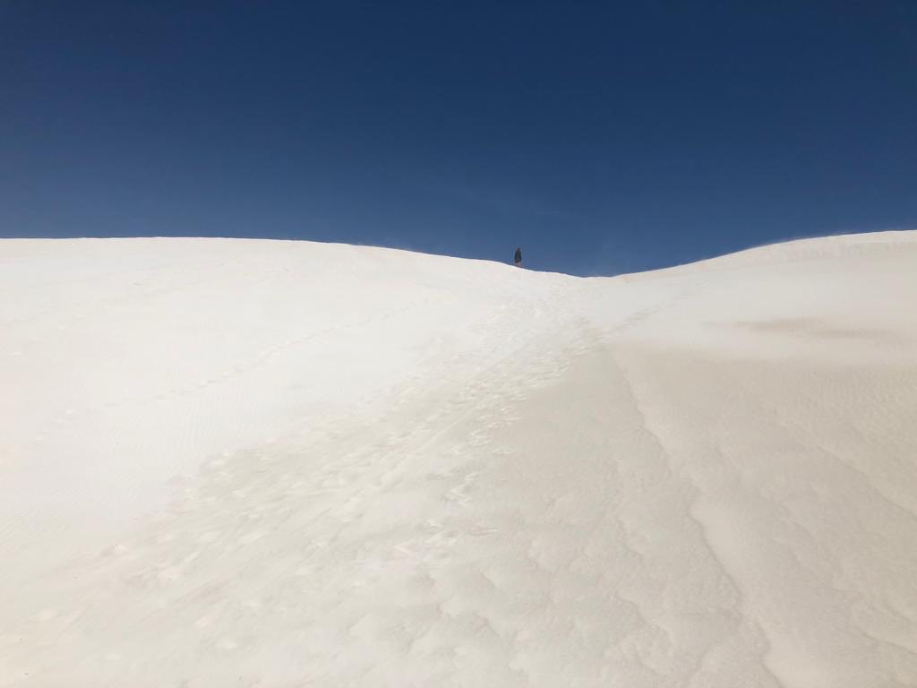 onetripbeyond's tweet photo. These huge sand dunes in Lancelin, Western Australia are a must visit as you drive up the coast. 

Hike up and then sandboard back down these stunning white dunes 🏂 ☀️ 

#lancelin #sanddunes #WA #sandboard #purewhite https://t.co/HJT3XvREkp