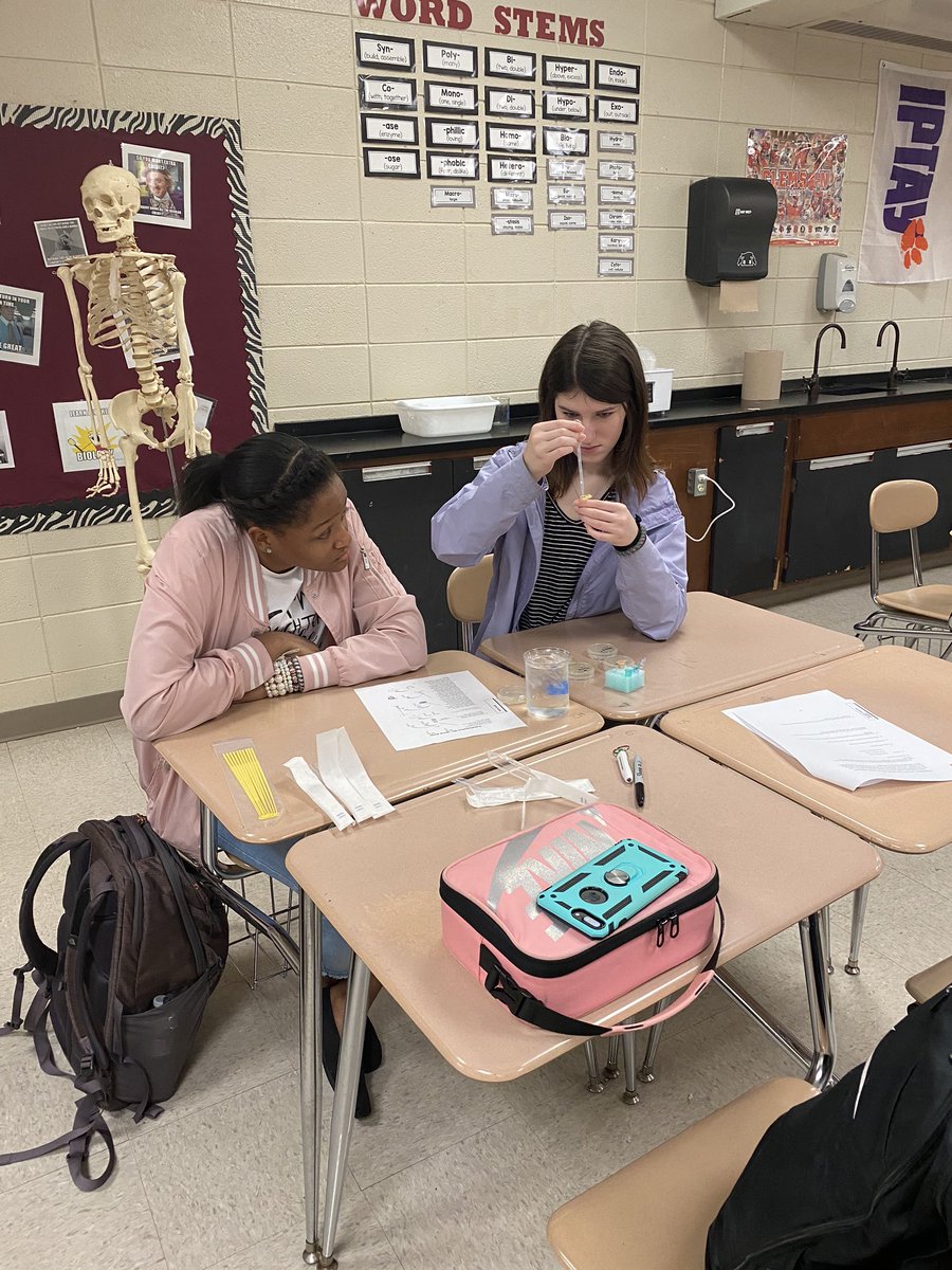A transformation is happening! Bacterial transformation, day 1. We’ll see what GLOWS tomorrow 🧬🔬<a href="/Westside_A5/">Westside High School</a>