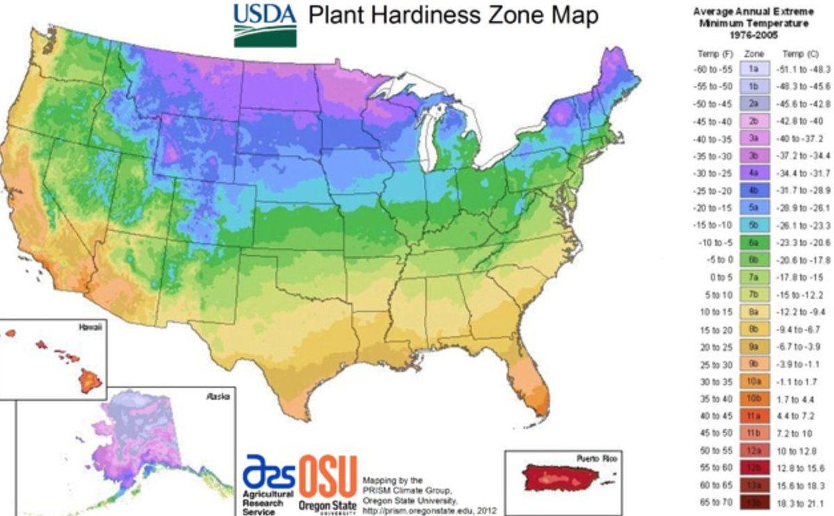 growingwisdom's tweet photo. Solid zone 7 winter for much of eastern MA this winter.  Since December Boston more like Washington, DC.   Baltimore/DC area has been more like Richmond, VA.  #winterlesswinter https://t.co/fLLGkOcJfg