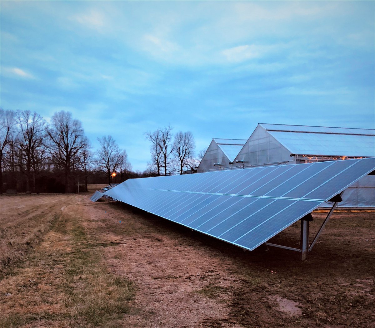 When considering ways to help reduce operating expenses for your farm, a solar investment should be at the top of your list. Harvest Solar can help design a system specific to your application requests, and help you be on your way to energy independence! #solar #renewableenergy