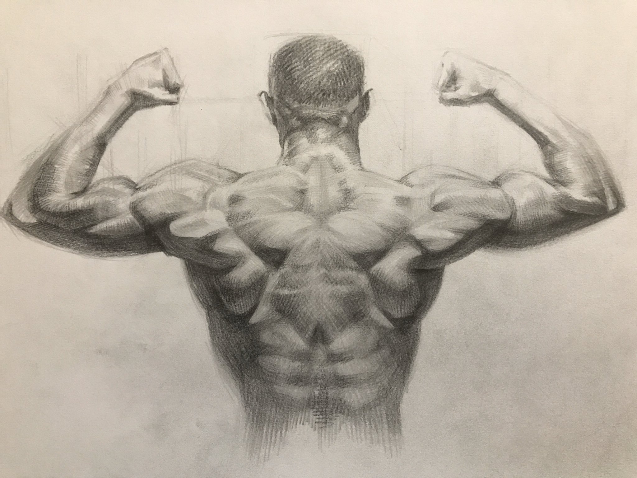 How to Draw Upper Back Muscles  Form  YouTube