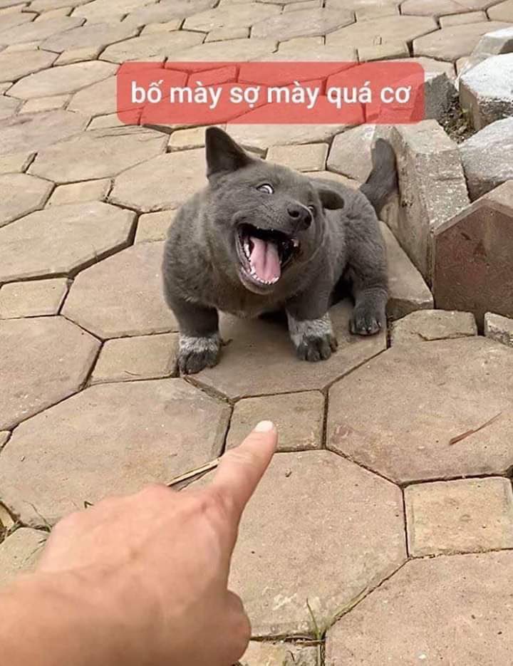 minchocolate99's tweet photo. Treated them with kindness and get such a annoying thing that piss me off. So disrespectful. 
#ApologizeToVietNam 
#KoreansStopLying https://t.co/7Akq1u7xgw