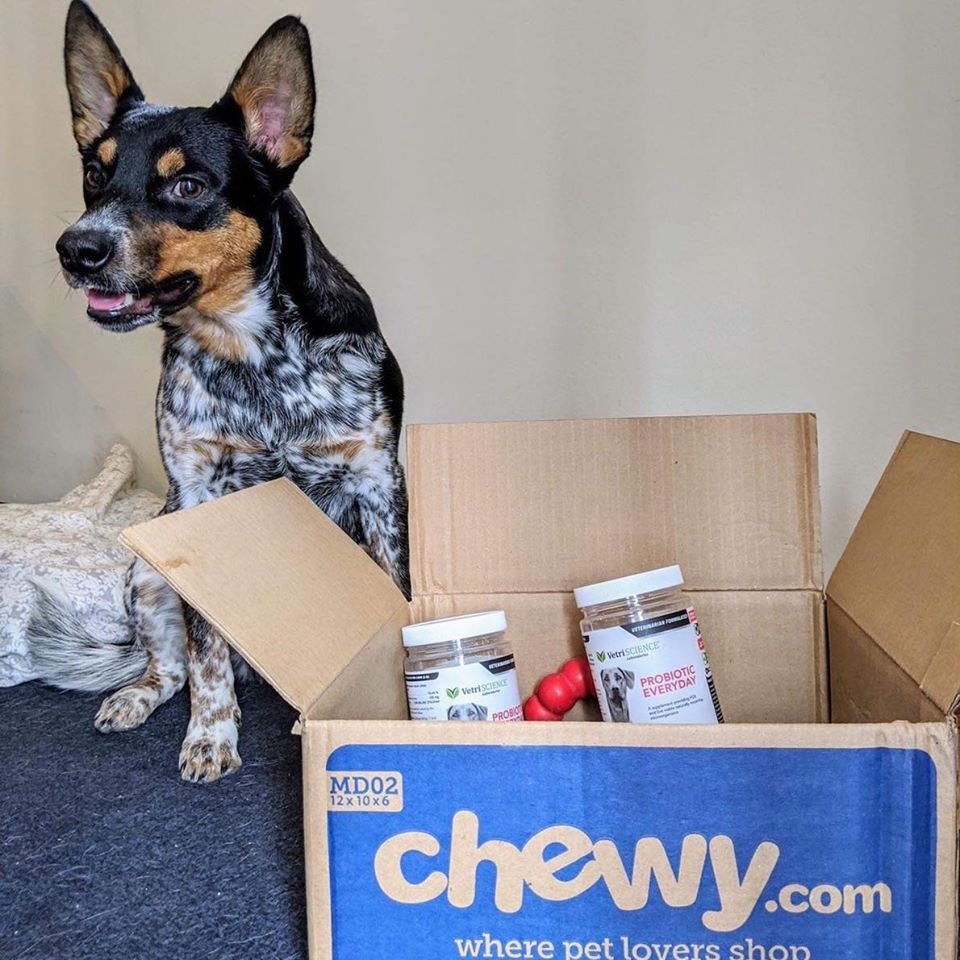 AlmostHomeSD's tweet photo. Did you know https://t.co/TcqMEnWMSN supports AHCR? When you shop for the first time chewy donates $20! Our AHCR Amuni pixel wants to thank Chewy for all that they do for us! ❤️ Use the link below to shop! 
https://t.co/4MIEiJdHuB

#chewy #chewyboxlove #chewydotcom  #chewyboxlove https://t.co/8EeBKO5PWp