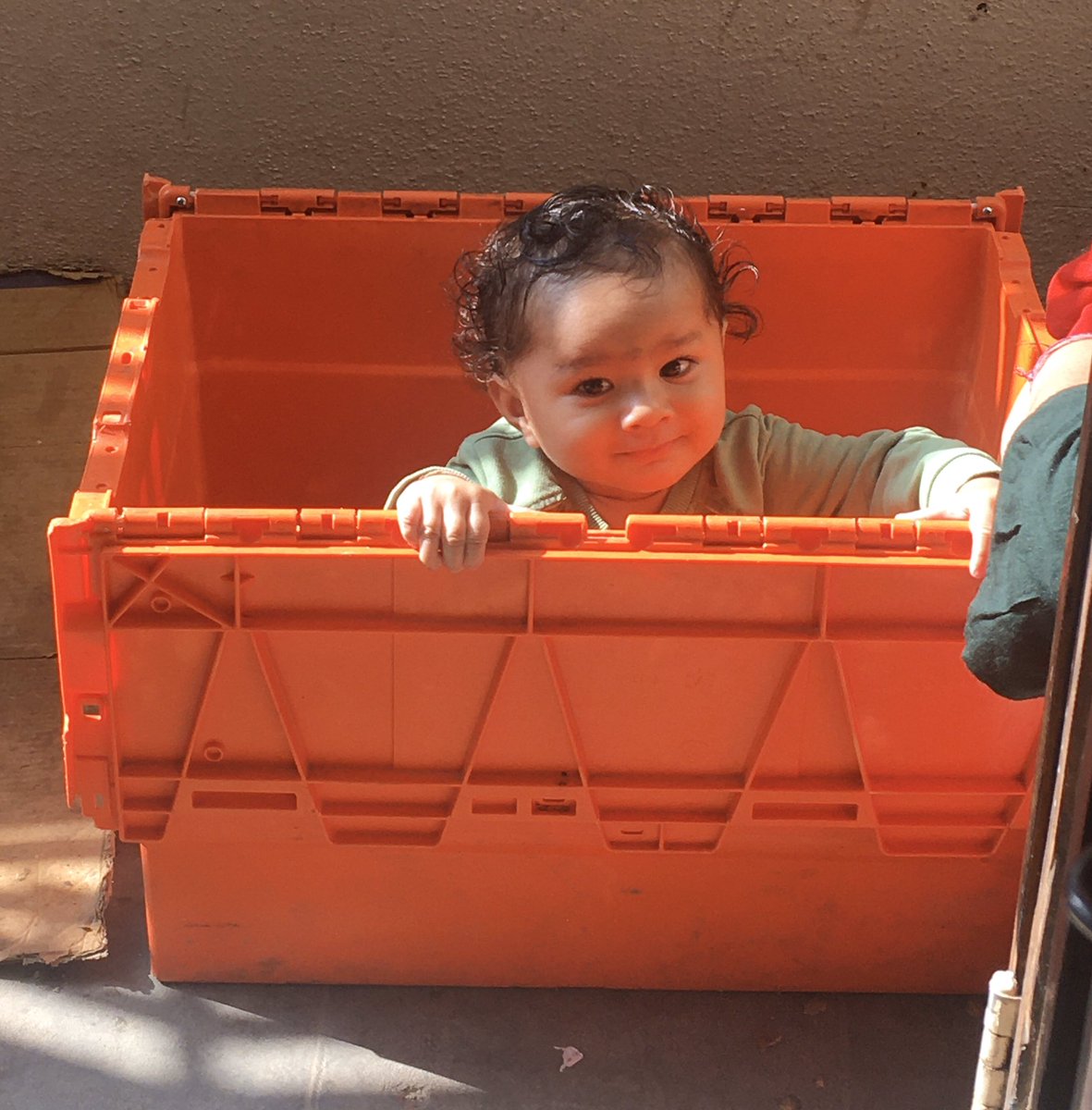 parul2411's tweet photo. 57/366
.
Peekaboo!
.
#makingeverydaycount #happinessandphoto #funkid #whatmademesmiletoday https://t.co/E2jqhTEOZS