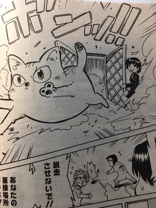 発売日なので告知。
本日発売のグランドジャンプめちゃにて読み切り漫画『不合格の仔猫たち』掲載してます。
是非とも宜しくお願い致します。
アンケート出してもらえるのが最高に嬉しいです。 