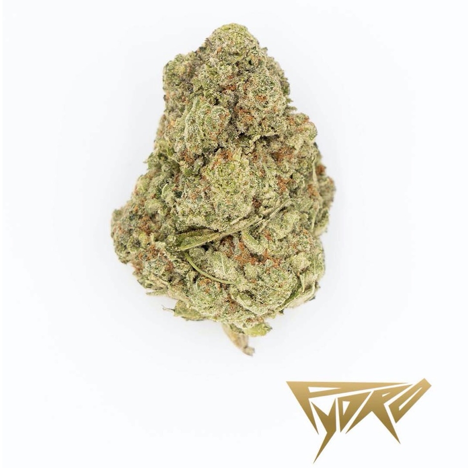 Futureweedco's tweet photo. Supreme Flower⁠
.⁠
Super Glue (Northern Light x Afghani Landrace)⁠
Strain: Hybrid (Indica Dominant)⁠
Type: Supreme Flower⁠
.⁠
.⁠
.⁠
.⁠
#wedontsmokethesame #topshelfcannabis #designerweed #exoticsmoke #pydro https://t.co/XlnwKxBEvR