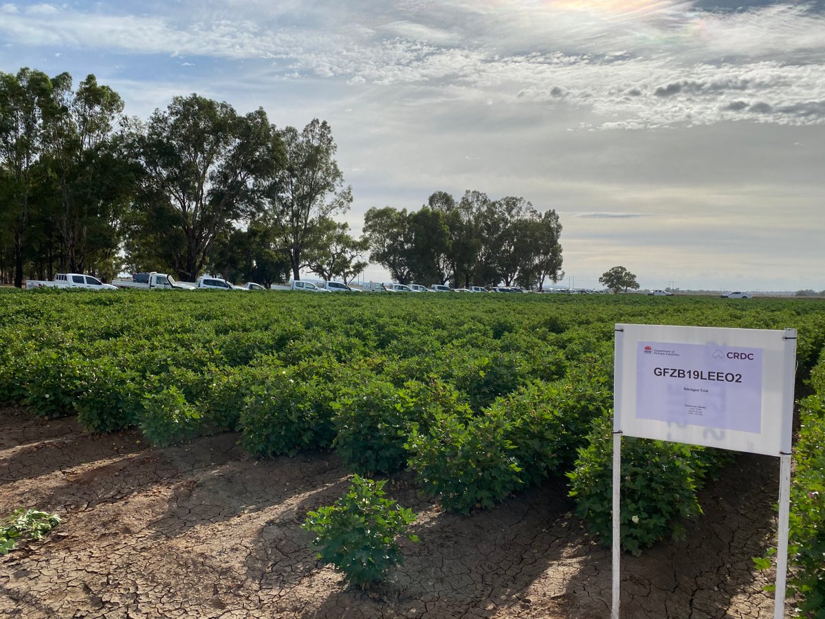 Had a good turn out for today's cotton field day at the Leeton Research Station @NSWDPI_AGRONOMY  <a href="/CottonResearch/">CRDC</a> <a href="/CottonInfoAust/">CottonInfo</a>