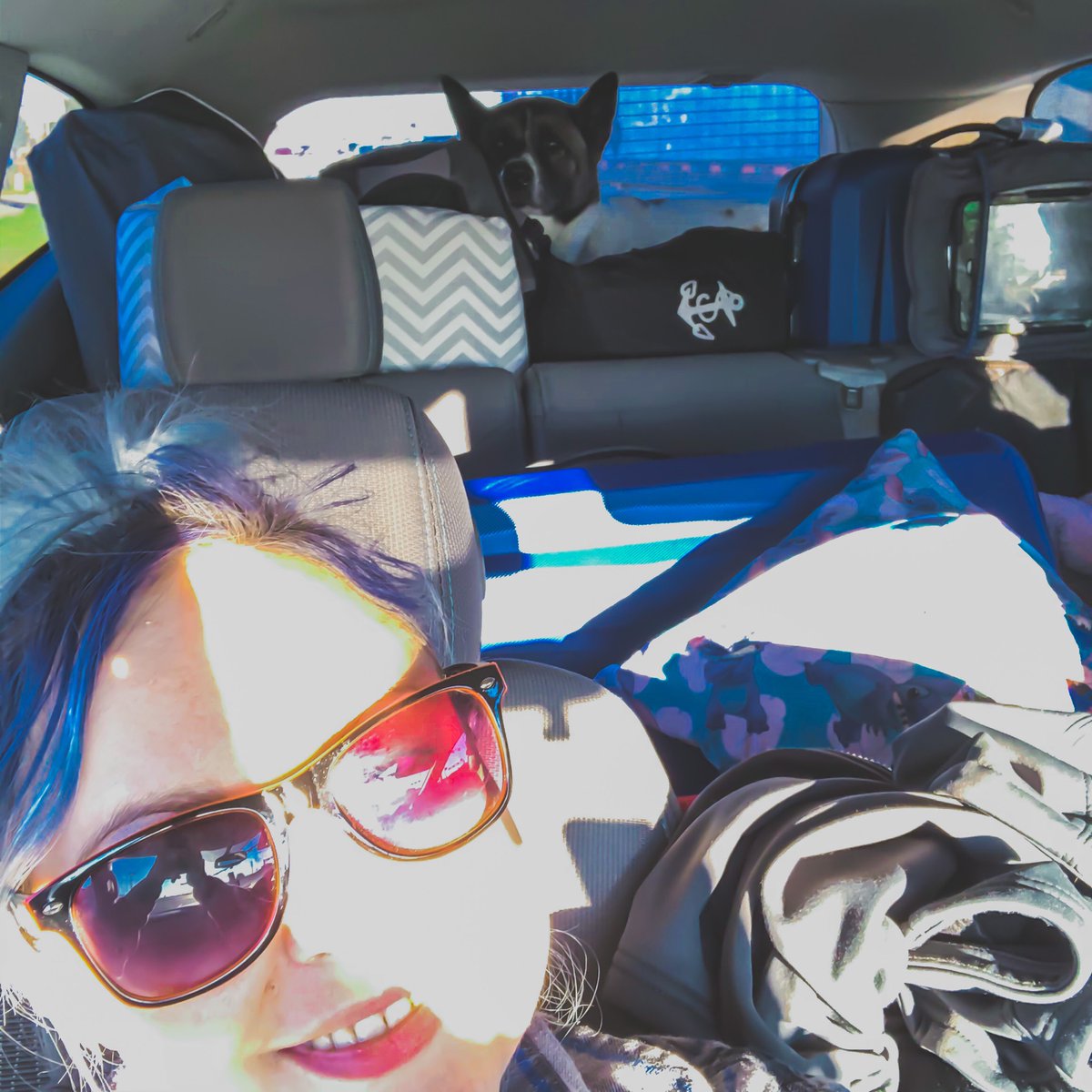 Feels like the #BarberBearFamily is constantly on the road! Me, Riley, and the pups are ready to stay home for a few weeks. ❤️ #homesweethome #travel #youtubemusic #musician #singersongwriter #texasartists #femaleartists #roadtripwarriors