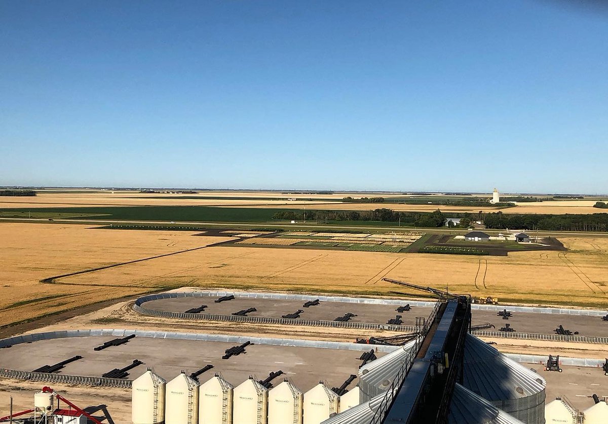 Paterson_Global's tweet photo. Aerial views from the Paterson Grain Winnipeg Terminal overlooking the Sir William Stephenson Research Centre. Want to learn more about the Research Centre? Visit our new website https://t.co/tN12KfojfV. #agriculturalinnovation https://t.co/KpyYCnYBqM