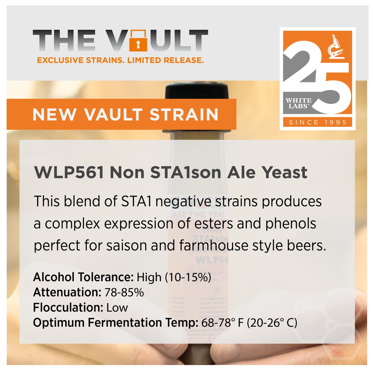 whitelabs's tweet photo. We have a new Vault Strain: WLP561 Non STA1son Ale Yeast! It produces the characteristics of a saison strain, without the presence of the STA1 gene. Available for professionals &amp; retailers. Head to https://t.co/lYqxiCRpzf to learn more. https://t.co/PUigl9UVca