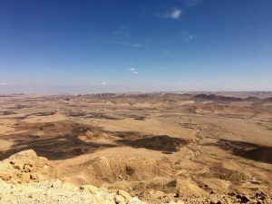 Looking for plans for tonight?  Join us at 7pm to learn from @runbirdgirl Johanna Beam about the Champions of the Flyways – 24 hours birding in Israel while supporting conservation efforts. buff.ly/32qNvmN
