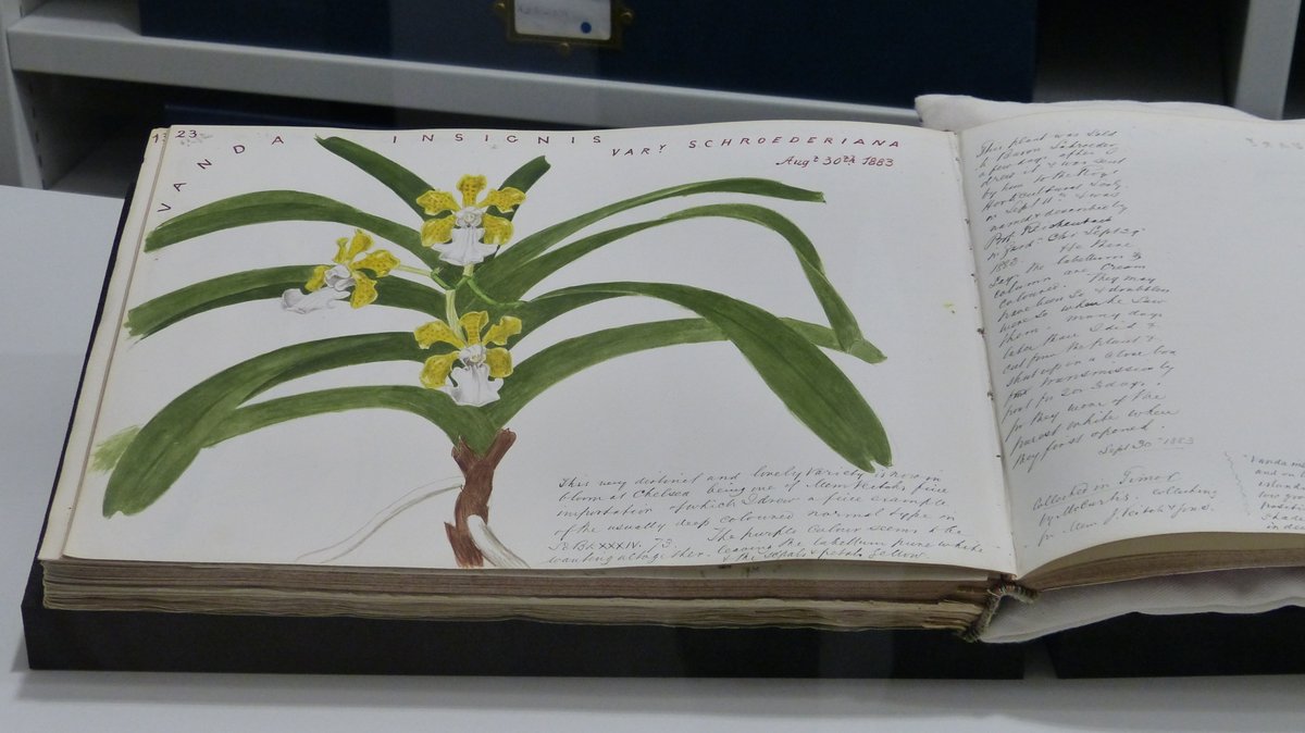 Great inspiration from @KewScience for <a href="/UniofReading/">Uni of Reading</a> <a href="/ReadingBioSci/">UoR BioSci</a> #MScPlDiv scrapbook assignment!  <a href="/BotanyRNG/">Alastair Culham</a> <a href="/RNGherb/">RNG Herbarium</a> <a href="/george_garnett/">George Garnett</a> <a href="/iamToniiChan/">Tonii-Chan</a> <a href="/LyuPinhui/">7口</a> <a href="/limeandsage/">Lime Green and Sage</a> <a href="/JAjowele/">Joshua Ajowele</a> <a href="/floodenheim/">Peter Q D Flood</a>