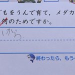 小学校の問題「人が子供を産んで育て、メダカが卵を産むのはなぜ？」の回答に「寂しいから」なるほど!