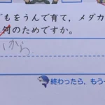 小学校の問題「人が子供を産んで育て、メダカが卵を産むのはなぜ？」の回答に「寂しいから」なるほど!