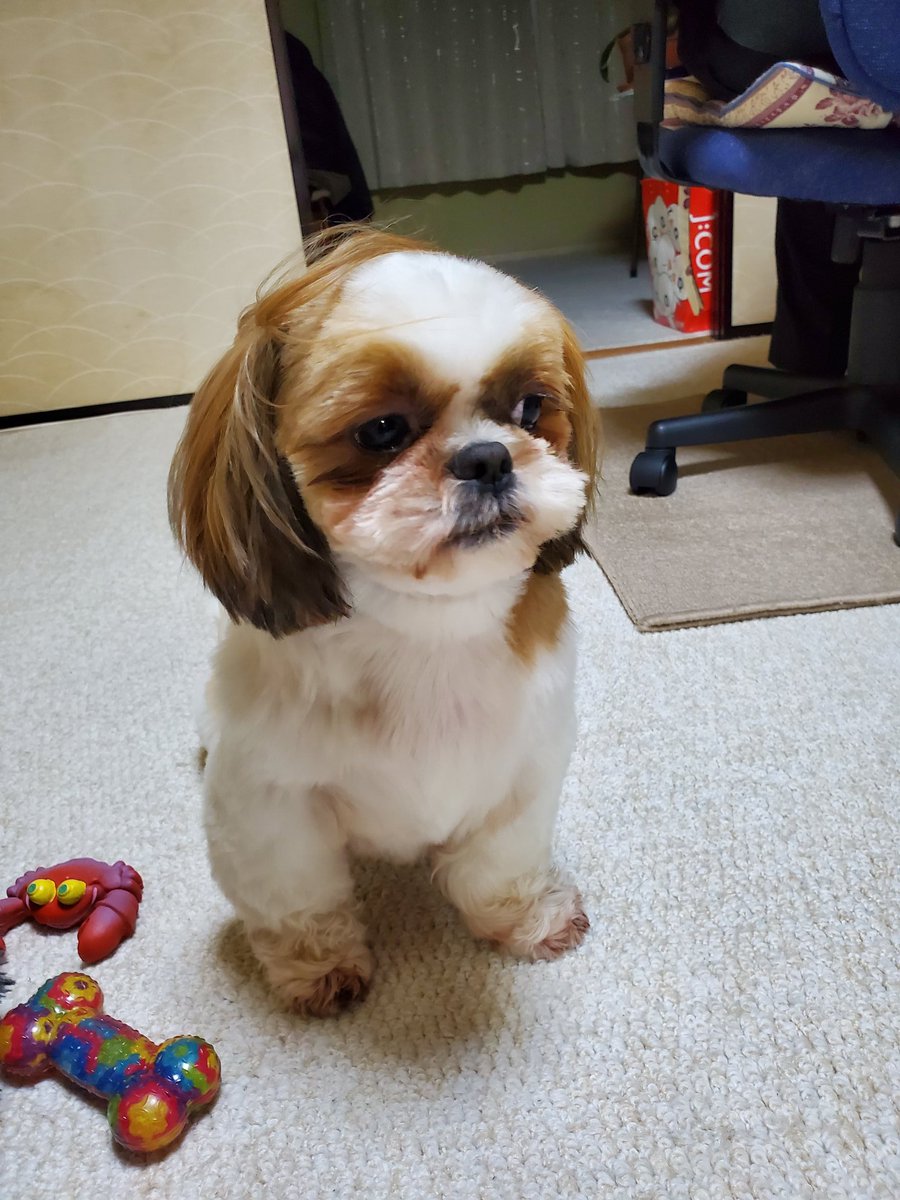 ﾊﾞｰｺｰﾄﾞ頭