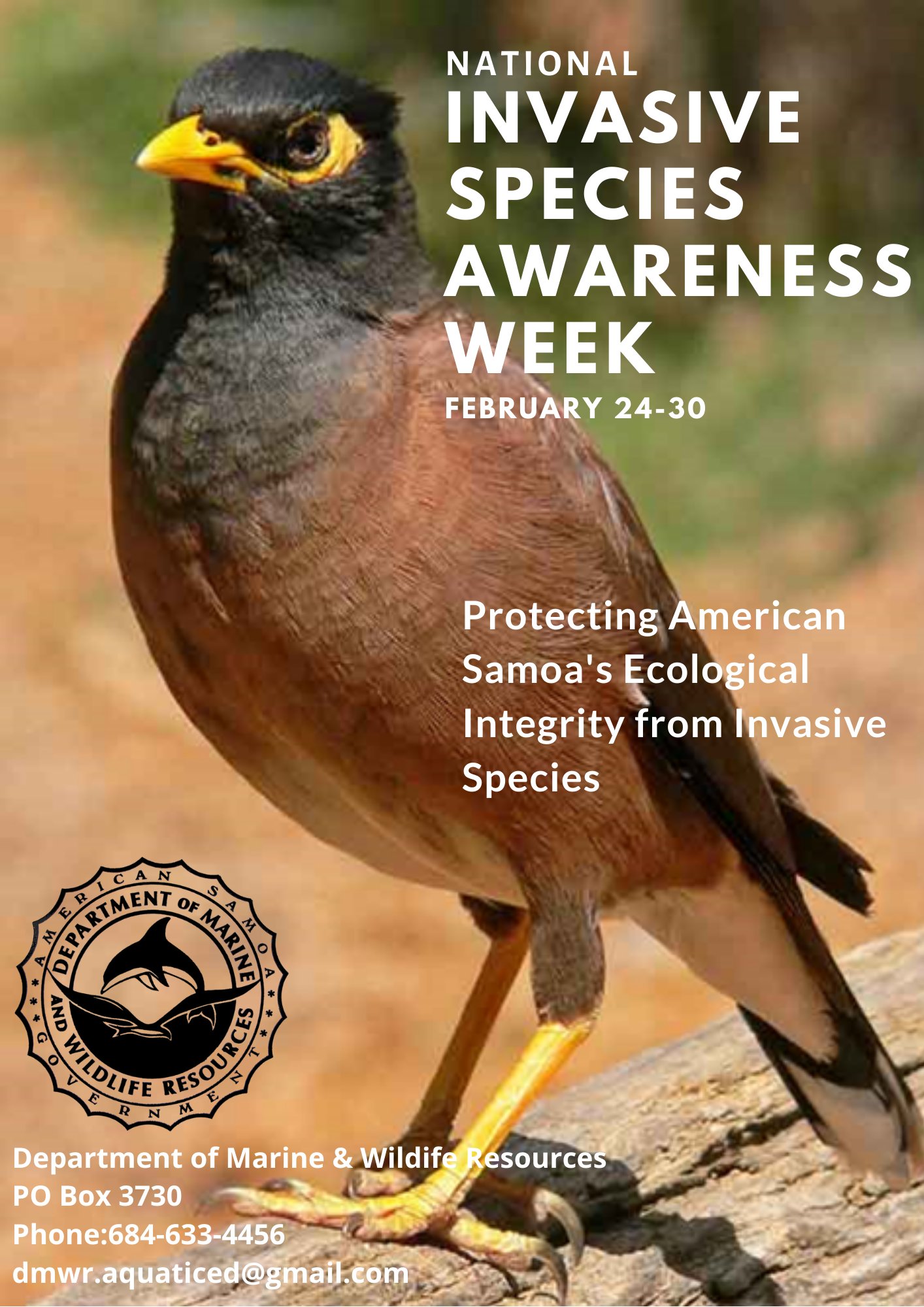 Department of Marine and Wildlife Resources on Twitter: Department of Marine and Wildlife Resources on Twitter: