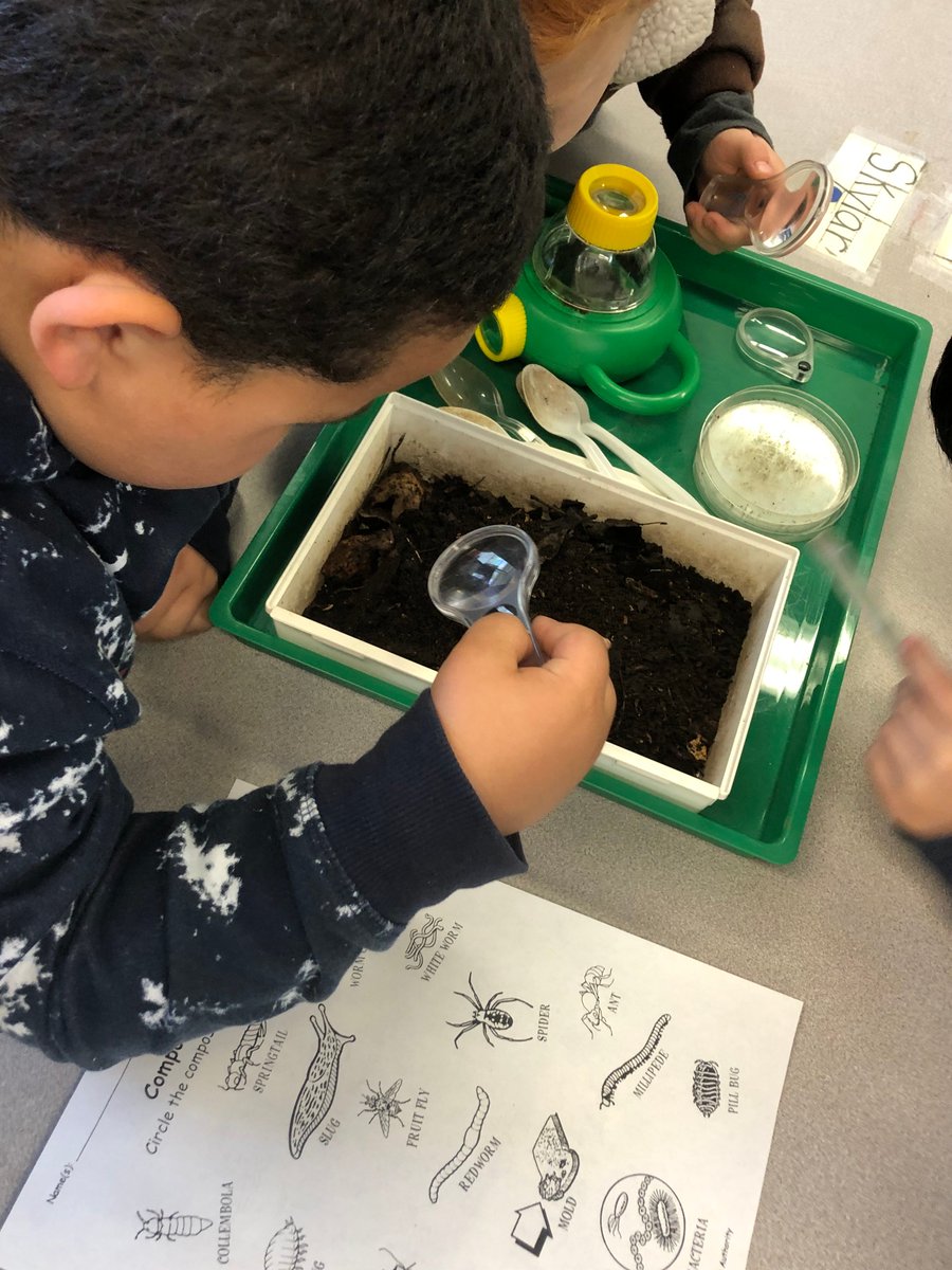 Gardenshf's tweet photo. Kindergarteners examining compost critters in "Do the Rot Thing," one of our six Natural Science Classroom lessons sponsored by @MarathonPetroCo 

See our full class brochure here: https://t.co/0zYtiZaFZA https://t.co/dFVTLkPTc6