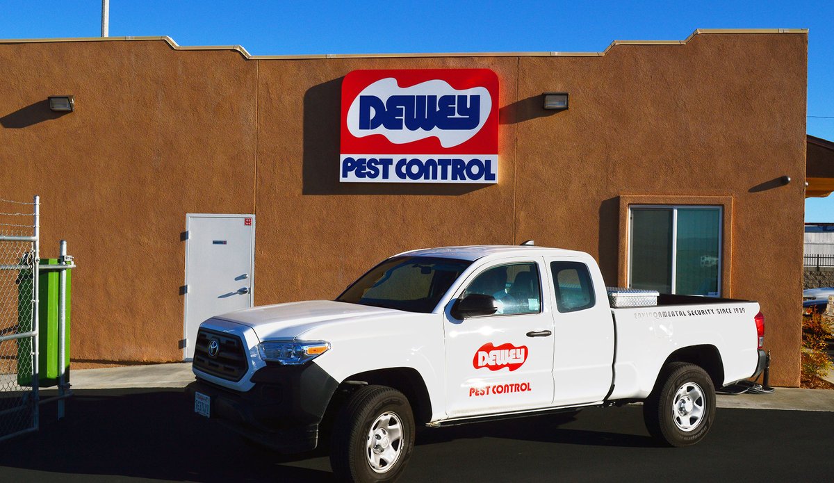 DeweyPestCtrl's tweet image. Join our Dewey Team! Check out available positions now! goo.gl/HTAuZp #helpwanted #jointourteam #deweypest #pestcontrol #jobopenings #applynowhttps://goo.gl/HTAuZp
