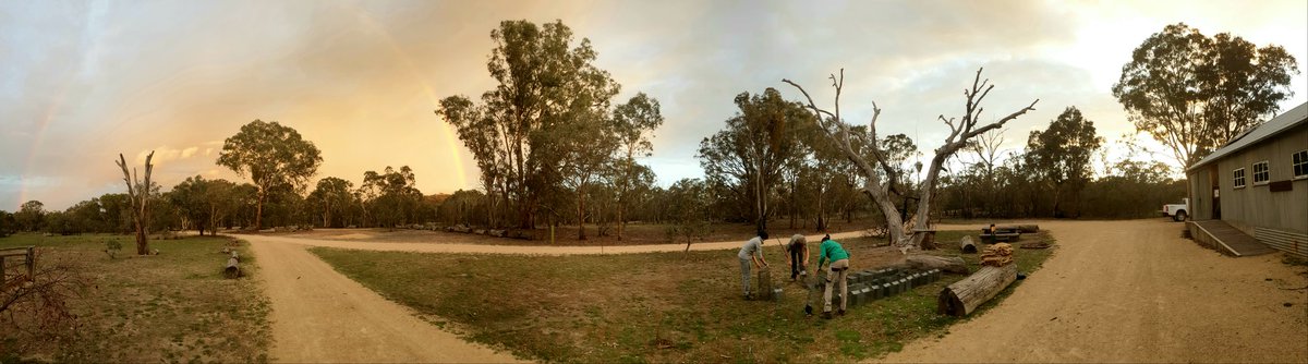 BrittBrockers's tweet photo. As the sun rose on the first #monitoring session of 2020 for the @MFGO_Exp, we were greeted by not one but TWO rainbows! Definitely brightened up trap cleaning! 
#congen #ecology #conservation #notoextinction @MulligansFlat @scienceANU @ANUFennerSchool https://t.co/SIfaP16yws