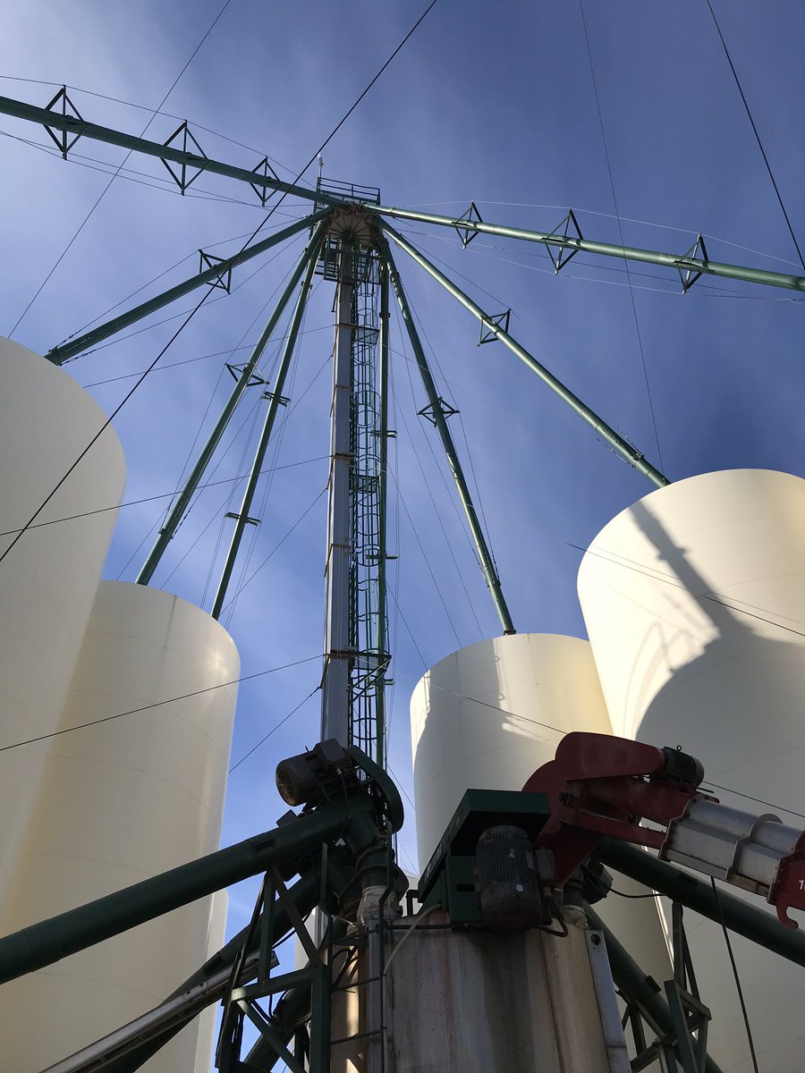 CJ Ireland tweet media