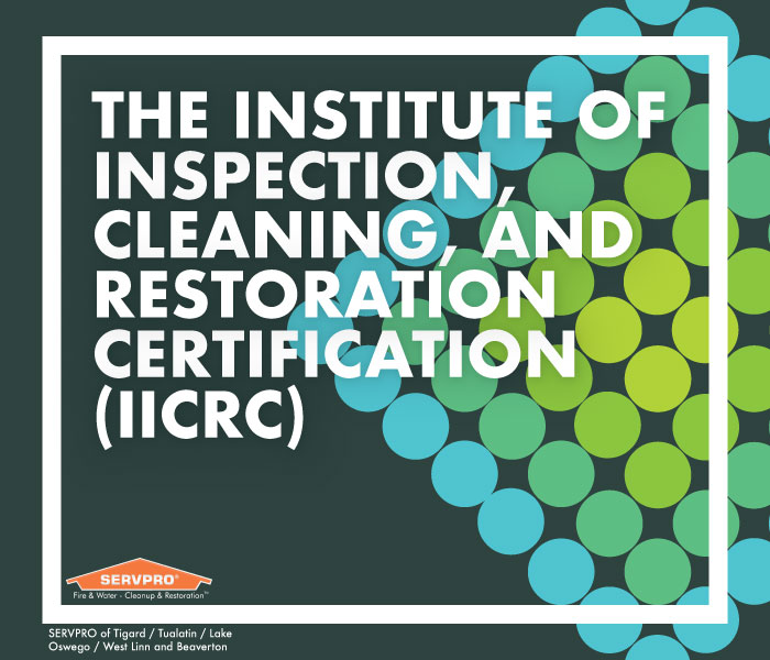 ServproTigard's tweet photo. Learn about the firm that all restoration professionals become certified through - and how their principles for water damage restoration influences the entire industry.

https://t.co/CLHdWWmo82 https://t.co/h6Gvj86RO1