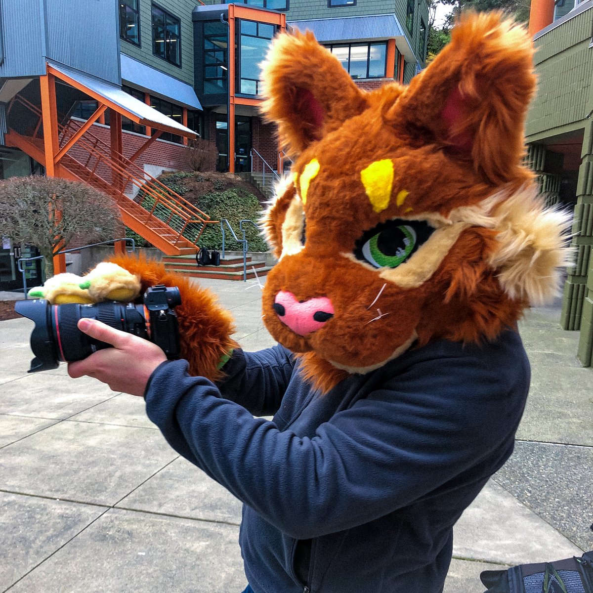 PlayfishMedia's tweet photo. "You gotta be kitten me!" 😹
Nick having fun as a Wildcat #behindthescenes at Seattle Country Day School @scdscommunity https://t.co/85gppxopKN