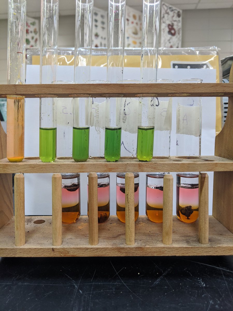 AW4RHHS's tweet photo. I volunteered to wash the test tube so my students could finish their soil analysis lab. #Forensicsrocks https://t.co/Xbm7flYCQS