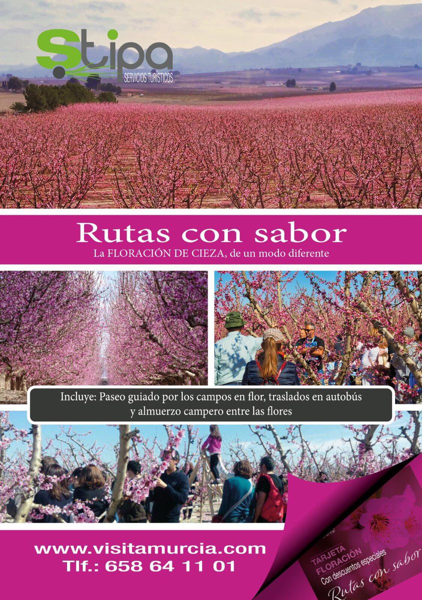 🌸 Este pasado domingo 23 de febrero comenzó a rodar el Bus de Cieza en Floración.
Donde  se puede disfrutar todos los días del esplendor y los tonos de Floración realizando paradas en los parajes y miradores.
Toda la información en: visitamurcia.com
#Cieza #FloraciónCieza