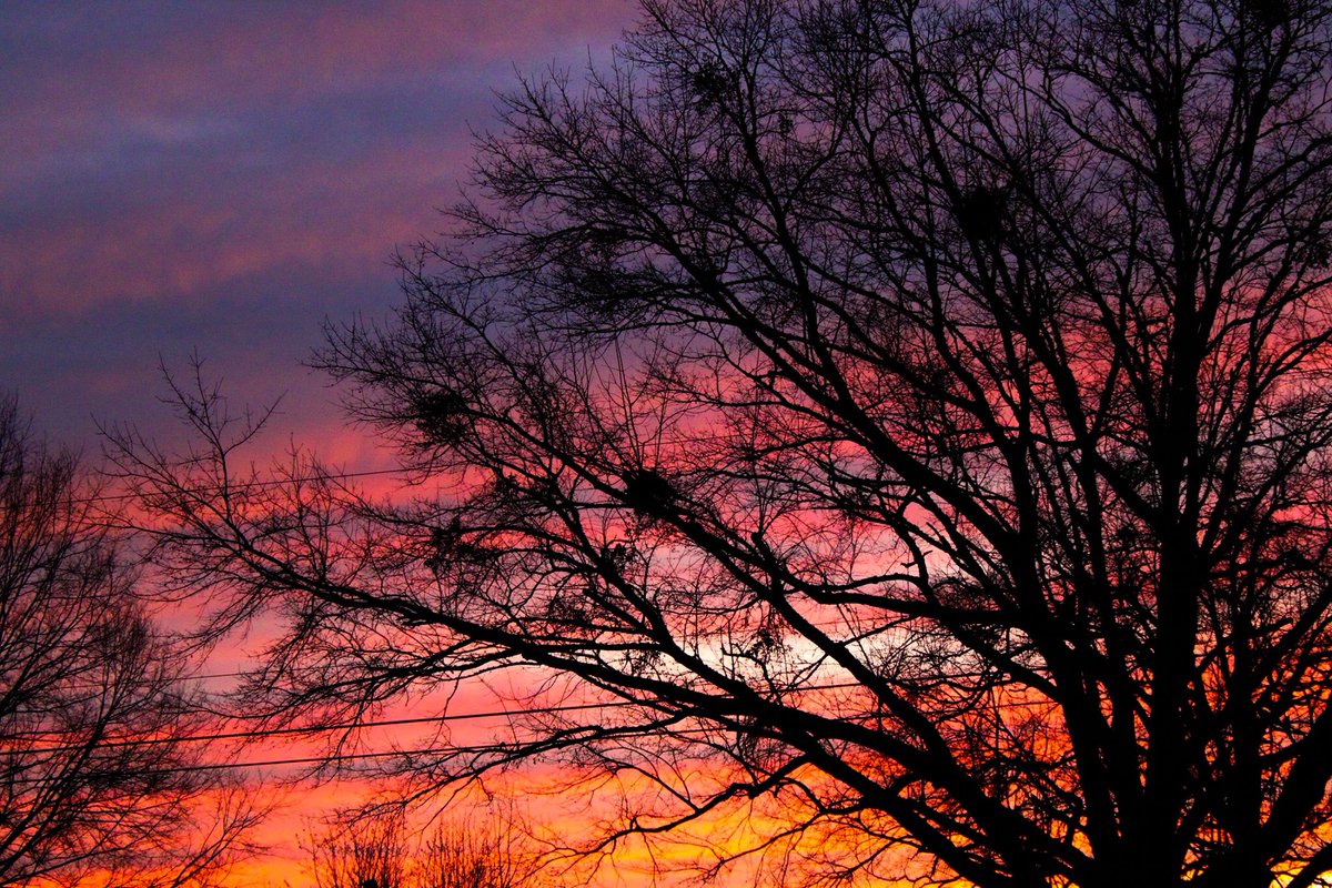 jesuslovecoffee's tweet image. Every painted sky is a canvas of your grace ❤️ #alabamasunsets