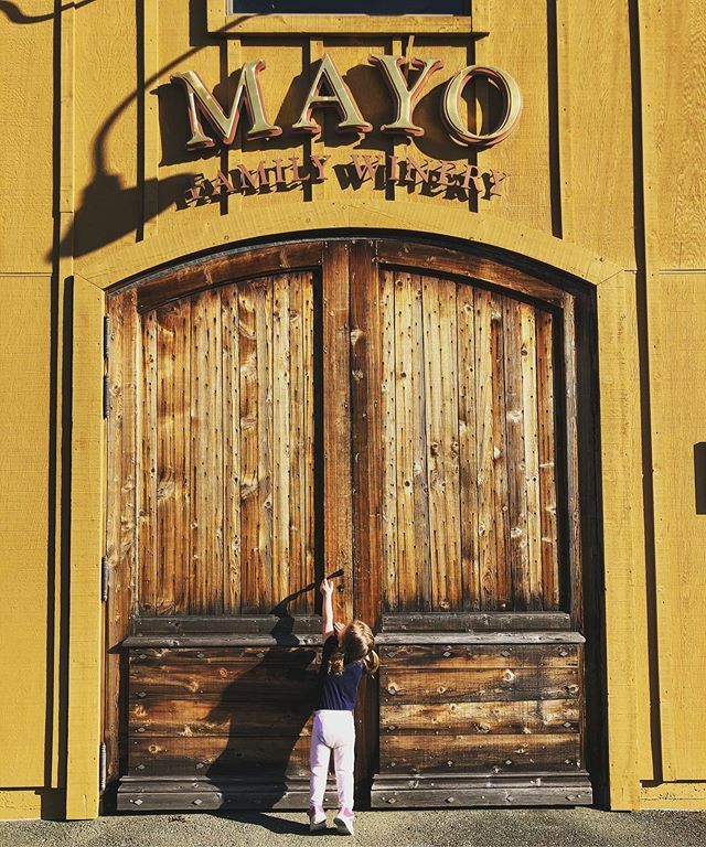 It’s a gorgeous day for wine tasting! Come in... we’re open! #feelslikesummer #sonomavalley #sonomawines #familyfriendly #familywinery #raiseaglass #growingupwinecountry ift.tt/2wQaJr7