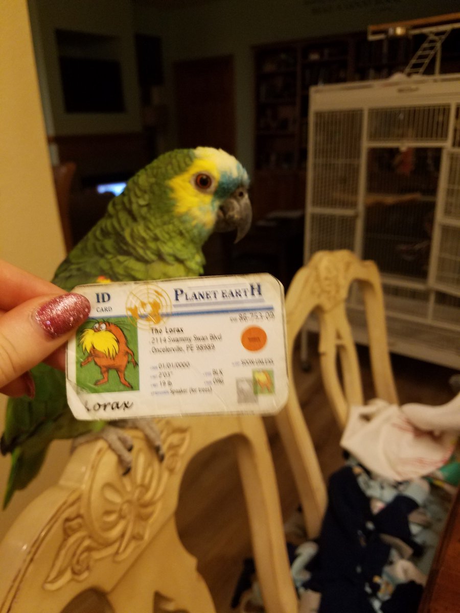 Hannah tweet media