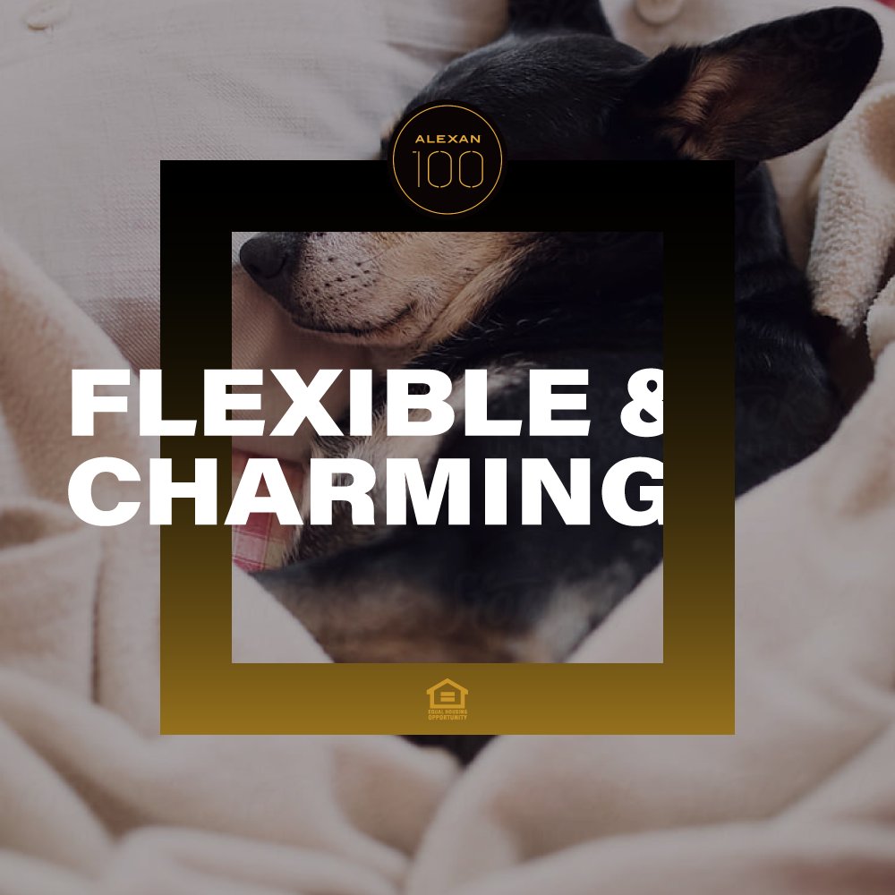 Experience more #privilegesofadulthood here at #Alexan100 . Check out our flexible #luxurySeattleapartmentcommunity this weekend. buff.ly/38Z1mmR #blog