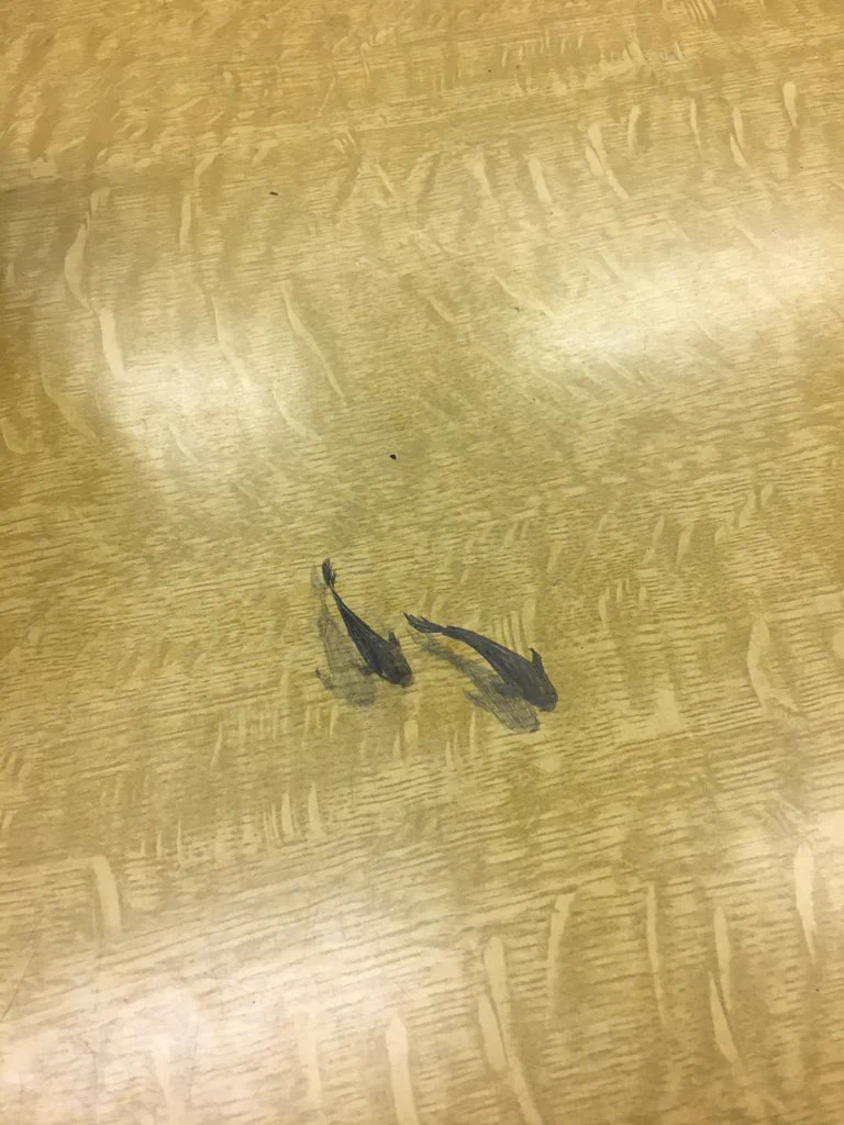 ここまで来ると一つの作品･･･！今にも泳ぎだしそうな落書きが話題に！