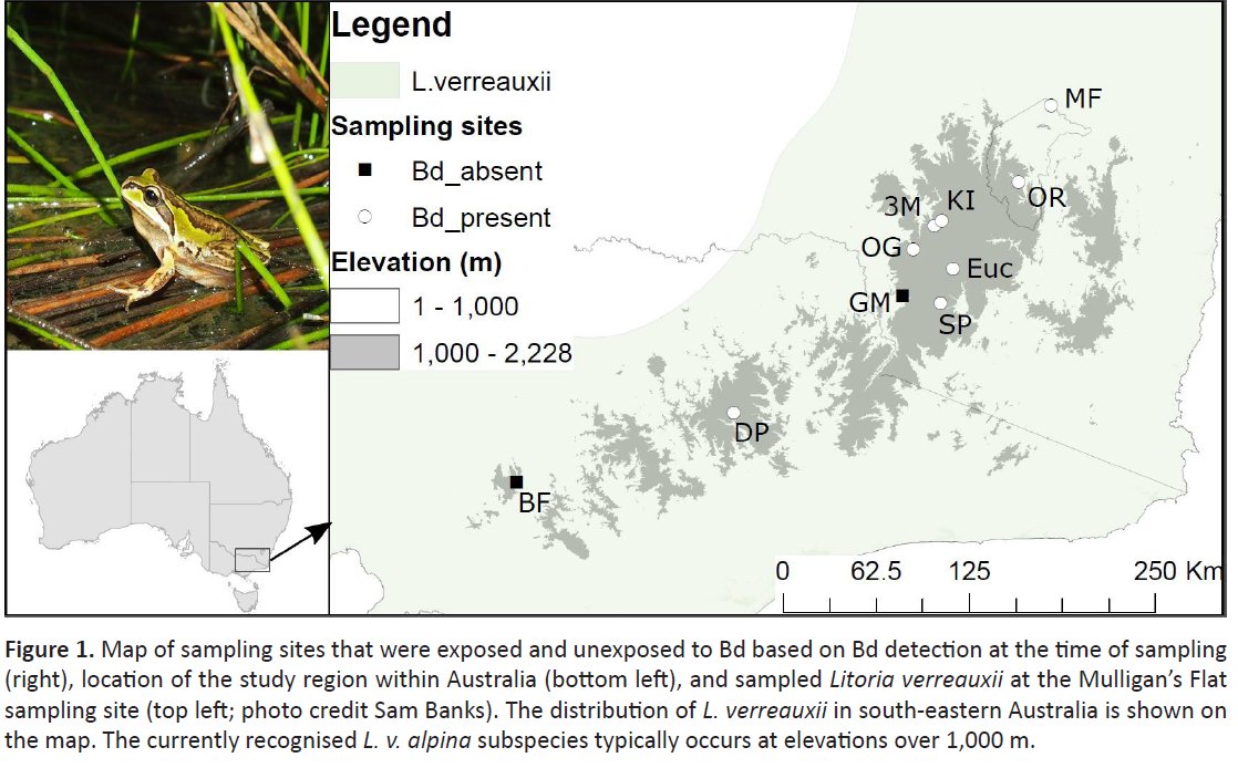 Ben Scheele tweet media