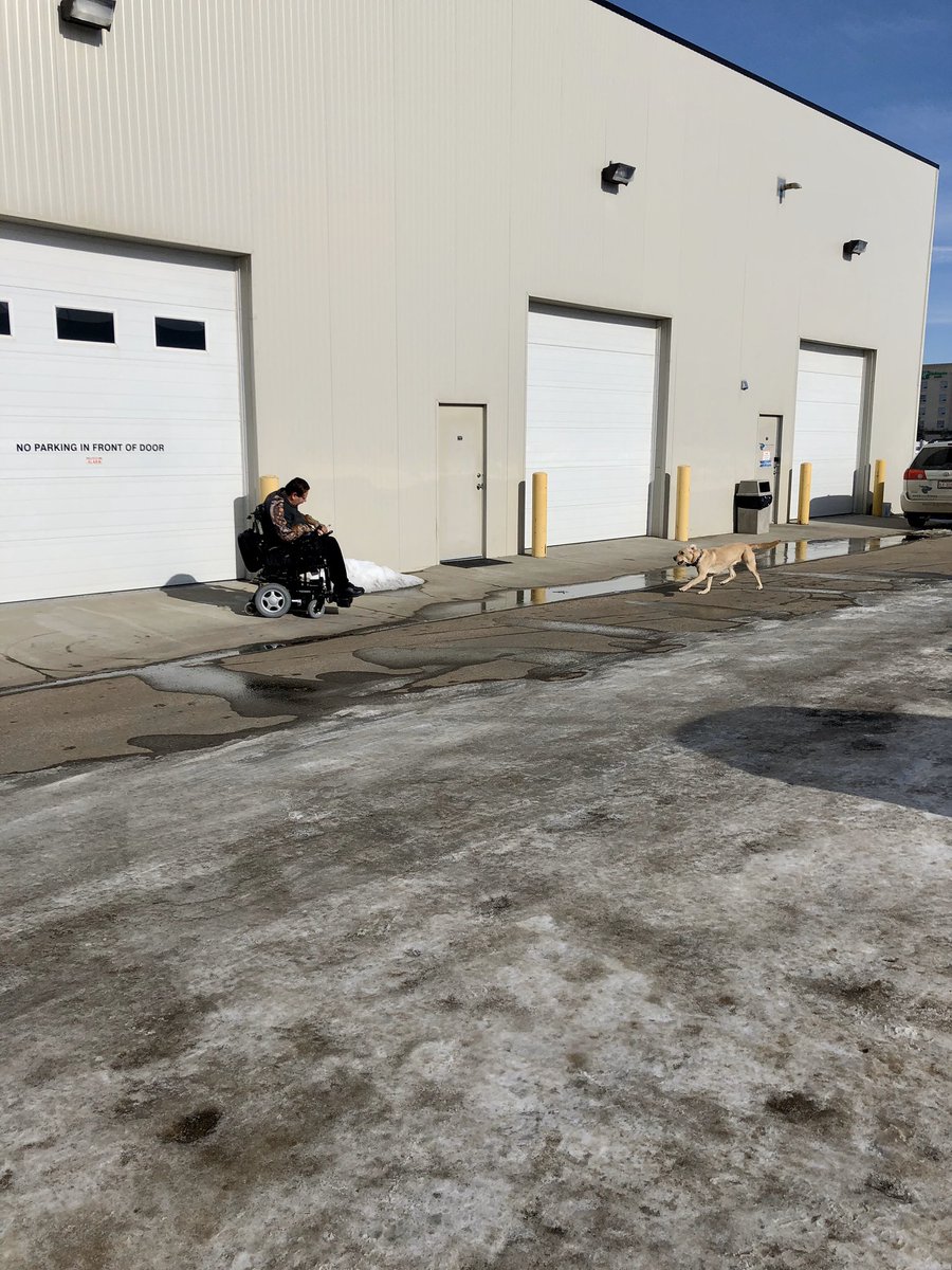 dogs_with_wings's tweet photo. We are excited to share the success of the first two days of Team Training with Service Dog DWW Echo! We are so proud of the progress that she and her client have made so far. We’re excited to spend the next two weeks with this incredible team. 🐾 https://t.co/vGcKmIUCBt