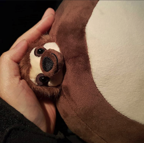 TinyHeadKingdom's tweet image. Heep likes having his head rubbed. It calms his nerves. 

You might be asking yourself — what does a sloth have to be nervous about? 

How about — when he’ll be able to get in another nap. 

📸 : @pippop0930 #tinyheads #thk #tinyheadsbigheart #tinyheadedkingdom