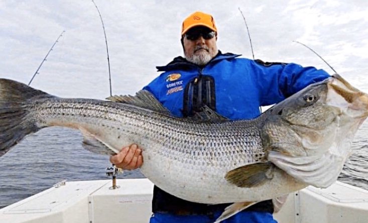 BamaOutdoors's tweet photo. 81.88lb world record striper caught in Virginia.😳
Good Lord that’s a Boss Striper🎣🎣🎣🎣🎣 https://t.co/gUtGNdh3gX