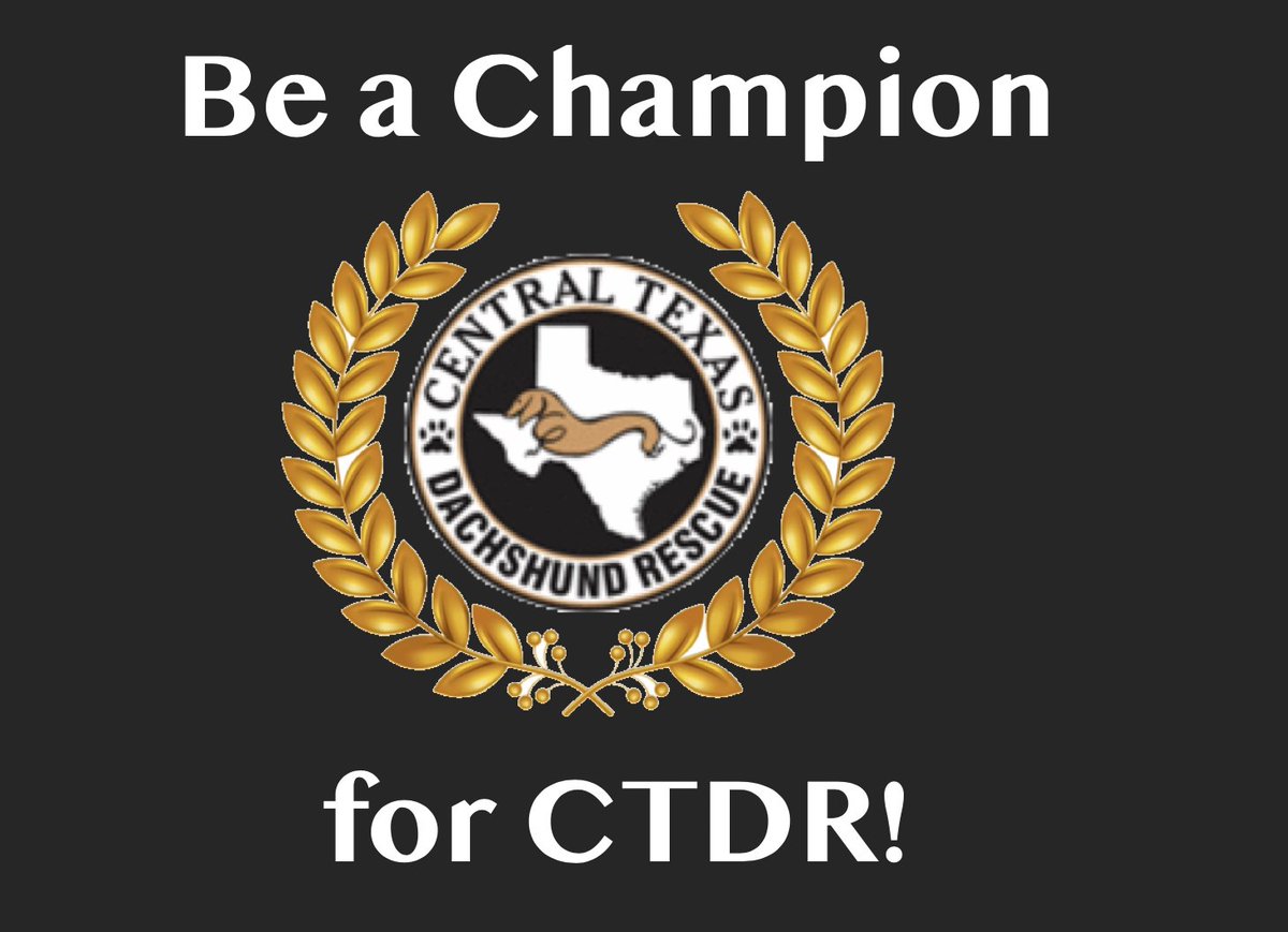 CTDR's tweet image. Be a fundraising champion for CTDR during Amplify Austin next week!  Create your own fundraising campaign and help generate up to 3 times the amount of donations! Follow this link to get started: amplifyatx.org/organizations/… Thank you for your support! #ctdr #AmplifyCTD #AmplifyAustin