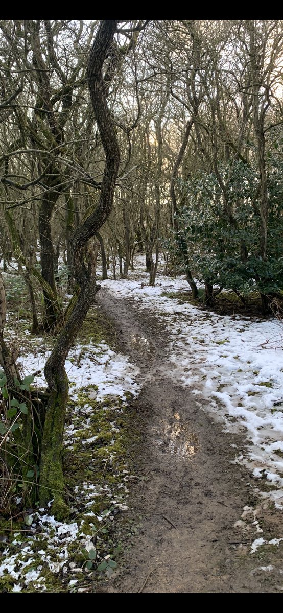 I love running so much that it takes a lot to stop me from getting out there.  Monday saw snow fall.  Had a lovely run     although slippy at times &amp; took some pics to share.  I was back out running tonight too with my gorgeous dog Lily.  Hope you’re all having a great week🏃‍♀️