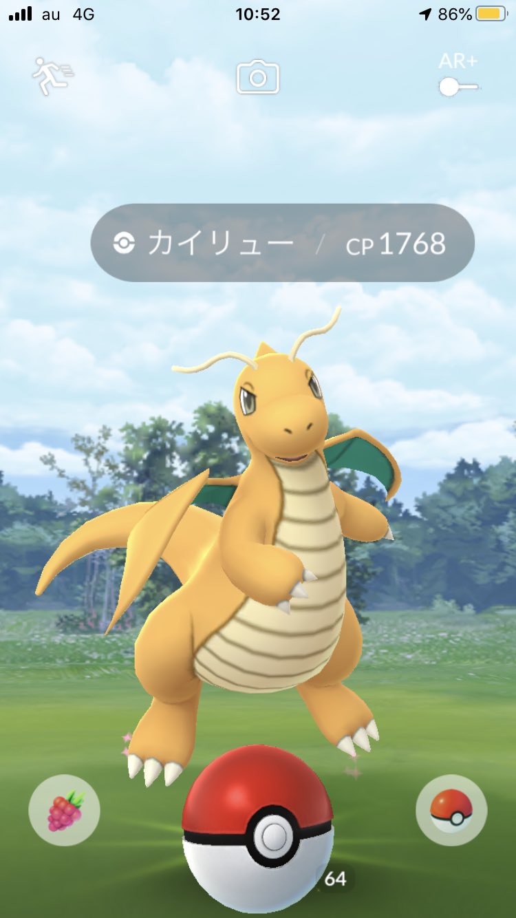 ヒイラギヌス 野生カイリュー 最近はレイドやリトレーンでレアポケモン を比較的簡単にゲットできる 個体厳選も楽 ようになったけど 野生でレア進化系ポケモンに出会えた感動は初期が一番あったな お台場や天保山で出会った野生の カイリューは今でも大事