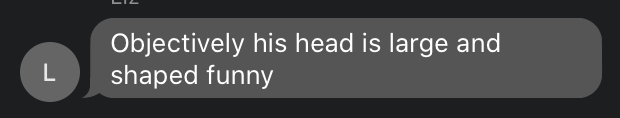 Objectively his head is large and shaped funny