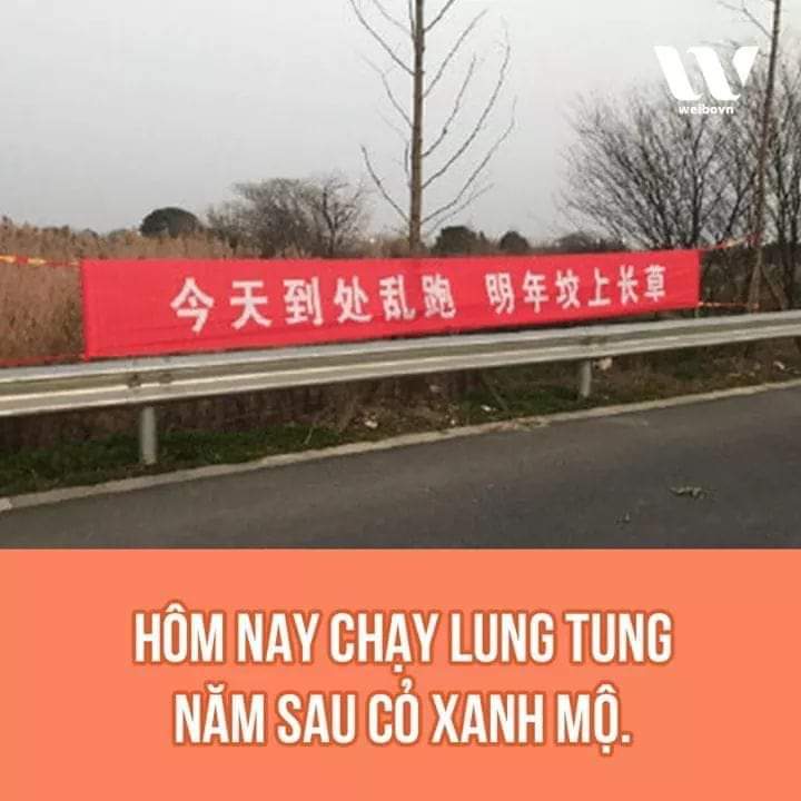 Vynhii2's tweet photo. Dear tầng lớp thượng đẳng văn minh xứ Hàn 💁‍♀️
#ApologizeToVietNam #20KoreansStopLying 
#표준말투와_내말투를_비교해보자 https://t.co/iKyOe1czdc