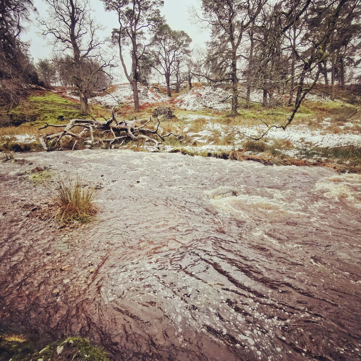 Monday in Bowland. A bit wild 👍 #forestofbowland