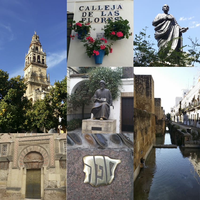 apitcordoba photo