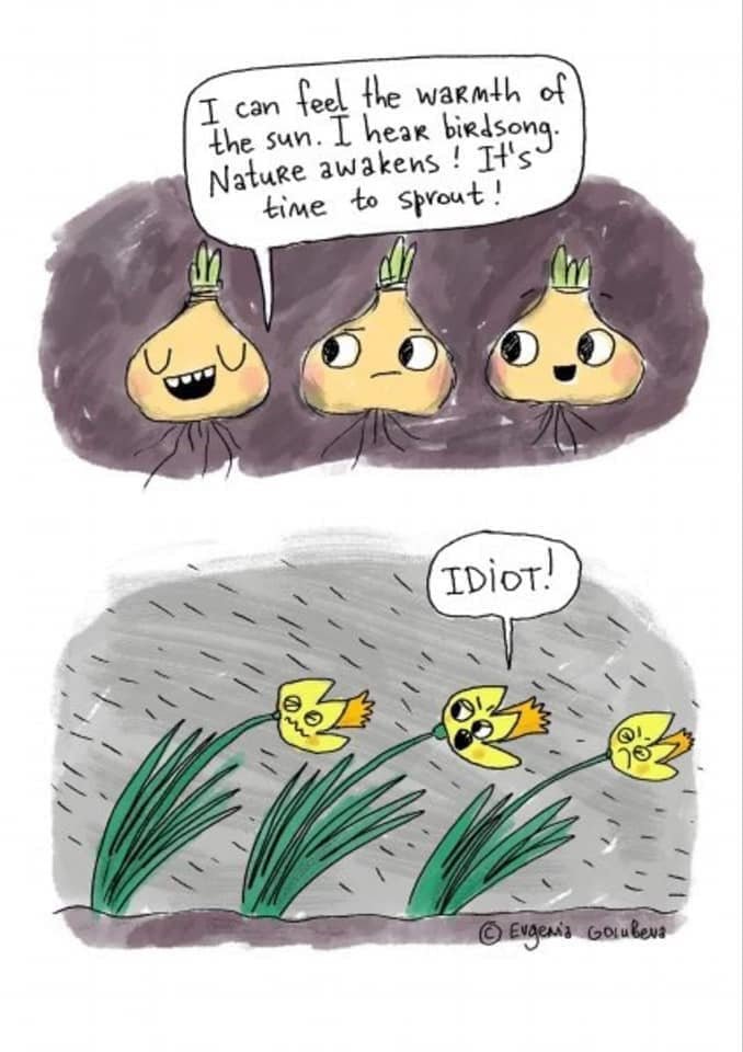 ChisClinic's tweet photo. Well, it may be cold, wet and windy outside but Spring will soon be here. And our thoughts turn to gardening.
Do come and join the Elmstead Woods Station Gardening Club on Sunday 8th March for their first gardening session of the year. Any time from 10am. They'd love to see you! https://t.co/Exr0BqpQHB